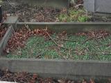 image of grave number 217619